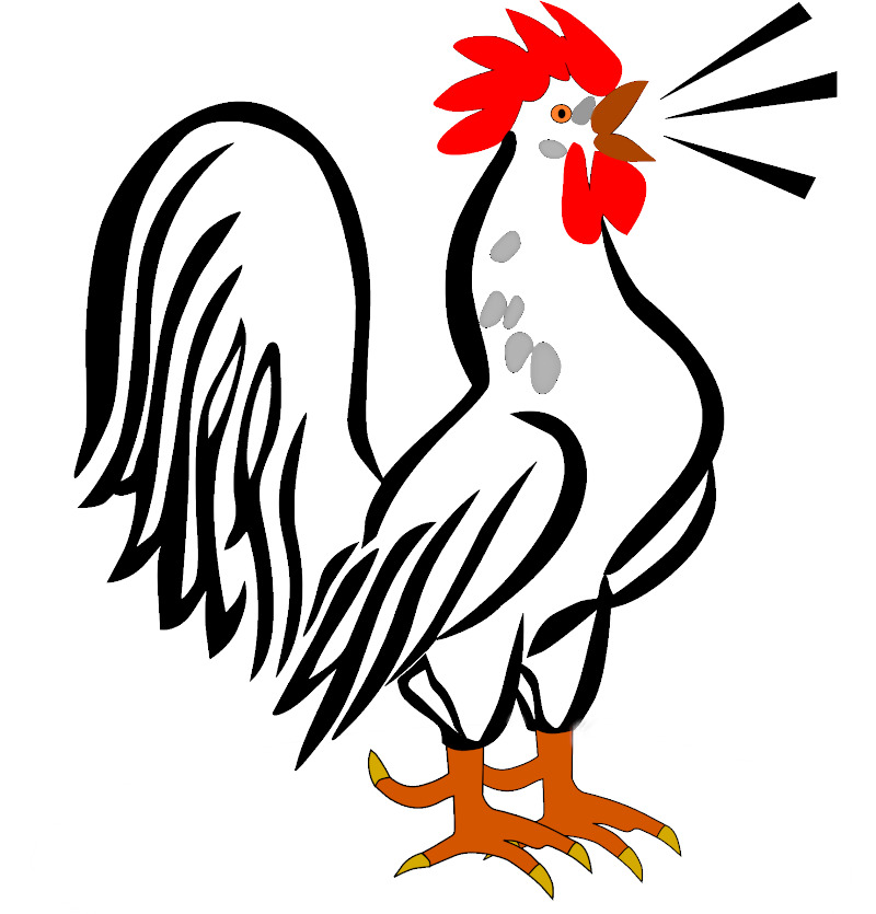 పక్షి శబ్దాలు